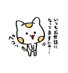 楽描き水玉ねこたん（個別スタンプ：23）