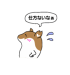 二匹のてんこてん（個別スタンプ：15）