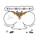 二匹のてんこてん（個別スタンプ：17）