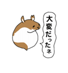 二匹のてんこてん（個別スタンプ：19）