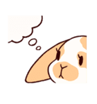 うさぎ日和（個別スタンプ：1）