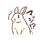 うさぎ日和（個別スタンプ：10）