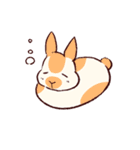 うさぎ日和（個別スタンプ：12）