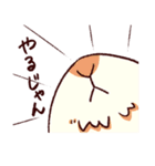 うさぎ日和（個別スタンプ：13）