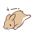 うさぎ日和（個別スタンプ：15）