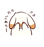 うさぎ日和（個別スタンプ：19）