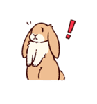 うさぎ日和（個別スタンプ：21）