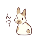 うさぎ日和（個別スタンプ：24）