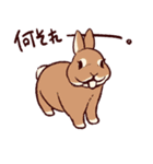 うさぎ日和（個別スタンプ：29）