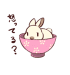 うさぎ日和（個別スタンプ：31）
