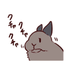 うさぎ日和（個別スタンプ：33）