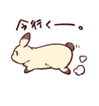 うさぎ日和（個別スタンプ：37）