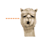 Happy Animals（個別スタンプ：25）