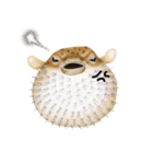 Happy Animals（個別スタンプ：34）