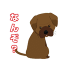 土佐弁つこうて屋（個別スタンプ：4）