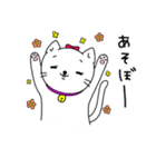 白猫シロップ（個別スタンプ：5）