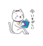 白猫シロップ（個別スタンプ：16）
