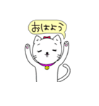 白猫シロップ（個別スタンプ：17）