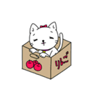 白猫シロップ（個別スタンプ：40）