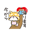 小熊猫スタンプ（日本語版)（個別スタンプ：31）