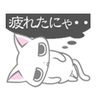 気弱しろねこ（個別スタンプ：30）