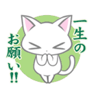 気弱しろねこ（個別スタンプ：31）