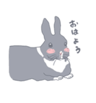 黒ウサギのんちゃん（個別スタンプ：6）