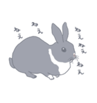 黒ウサギのんちゃん（個別スタンプ：36）