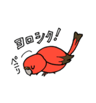 "秋草インコの日常" 鳥さんと一緒03（個別スタンプ：11）