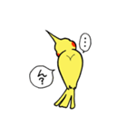 "オカメインコの日常" 鳥さんと一緒01（個別スタンプ：27）