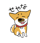 雑種系わんこの日常スタンプ（個別スタンプ：20）
