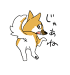 雑種系わんこの日常スタンプ（個別スタンプ：21）