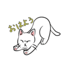 極悪ねこ（個別スタンプ：3）