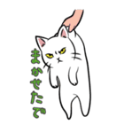 極悪ねこ（個別スタンプ：14）