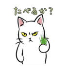 極悪ねこ（個別スタンプ：29）