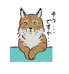 極悪ねこ（個別スタンプ：31）