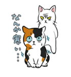 極悪ねこ（個別スタンプ：34）