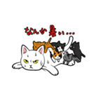 極悪ねこ（個別スタンプ：35）