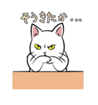 極悪ねこ（個別スタンプ：37）