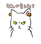 極悪ねこ（個別スタンプ：40）