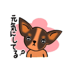 おしゃべりスムチー（個別スタンプ：5）
