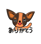 おしゃべりスムチー（個別スタンプ：12）