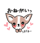 おしゃべりスムチー（個別スタンプ：14）