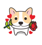 Welsh Corgi（個別スタンプ：1）