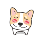 Welsh Corgi（個別スタンプ：2）