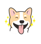 Welsh Corgi（個別スタンプ：4）