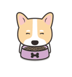 Welsh Corgi（個別スタンプ：6）