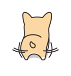 Welsh Corgi（個別スタンプ：10）