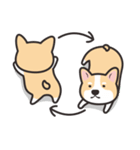 Welsh Corgi（個別スタンプ：11）