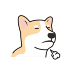 Welsh Corgi（個別スタンプ：14）